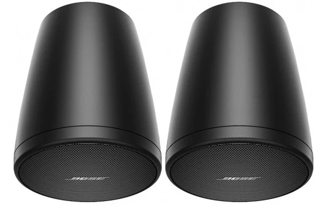 Bose Pro FreeSpace FS2P