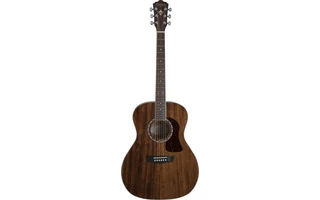 Washburn HG-12S