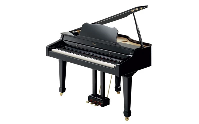 ROLAND RG-3F