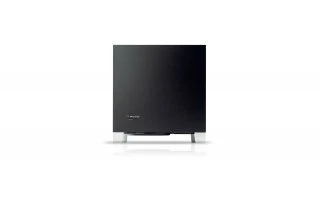 Pioneer S-51W