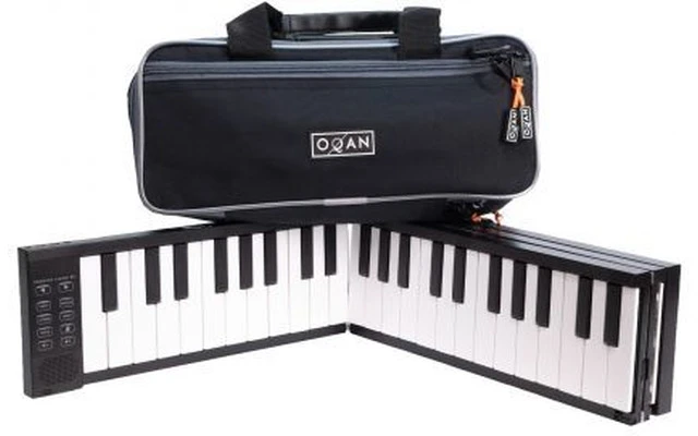 Carry On 88 Black con funda de transporte