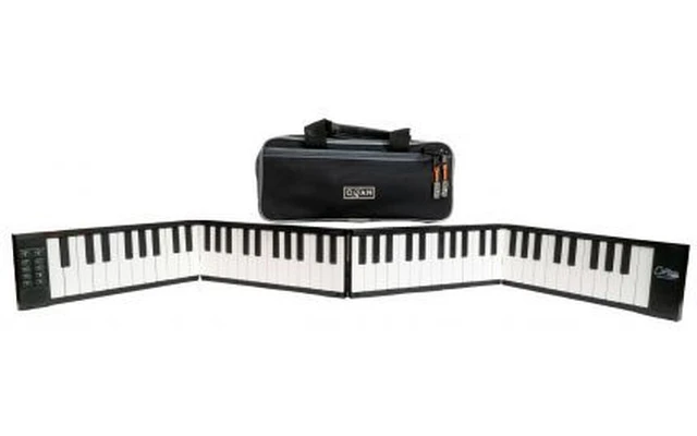 Carry On 88 Black con funda de transporte
