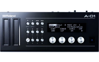 Roland A-01