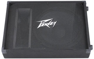 Peavey PV 15M Floor Monitor