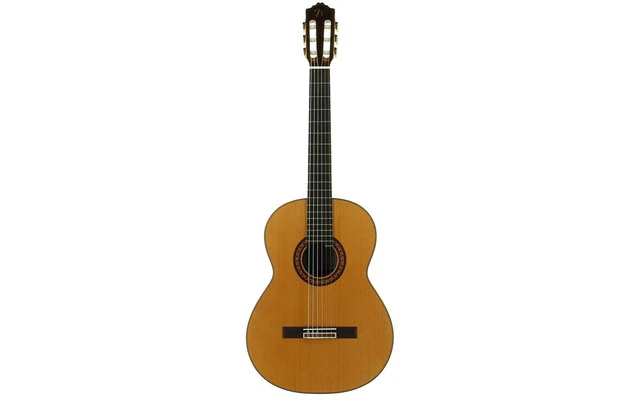 Jose Torres JTC-100