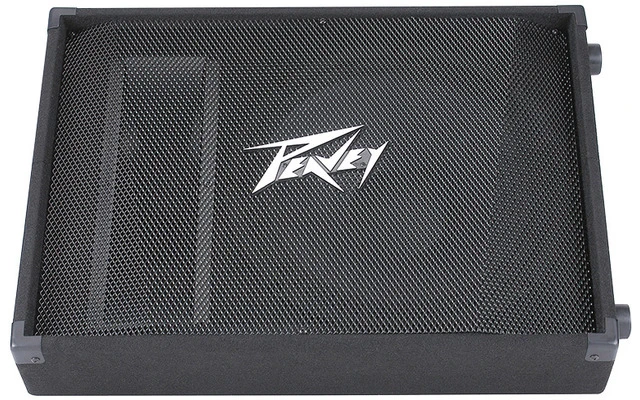 Peavey PV 15M Floor Monitor