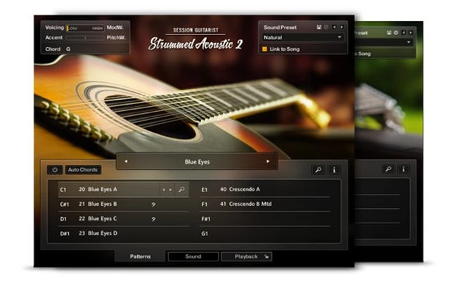 Strummed Acoustic 2