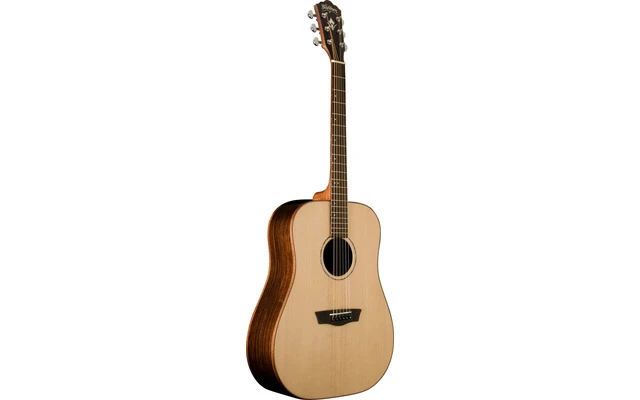 Washburn WD250SW