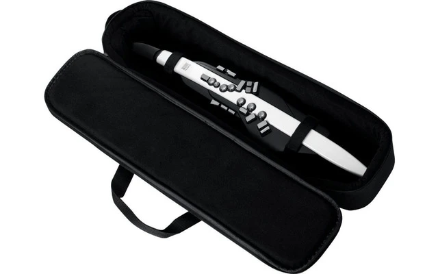 Roland Aerophone AE-20