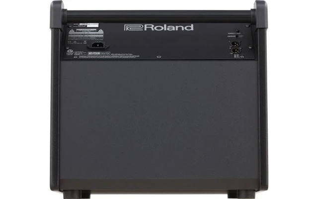 Roland PM 200