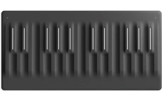 Roli Block Seaboard