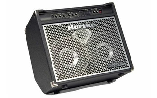 Hartke 210C