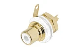 REAN NYS367-9 - Conector de chasis Phono (RCA) - Contactos dorados - color Blanco