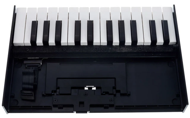 Roland K-25M