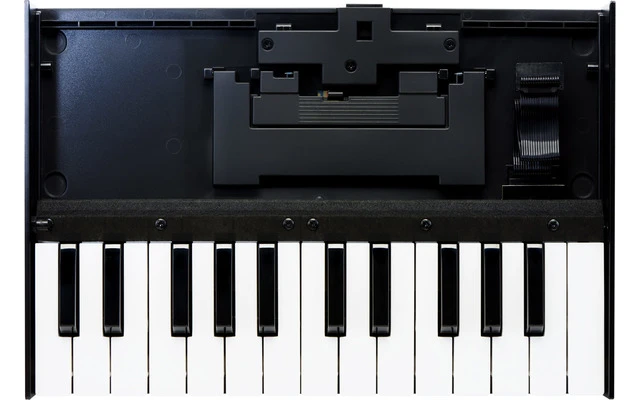 Roland K-25M