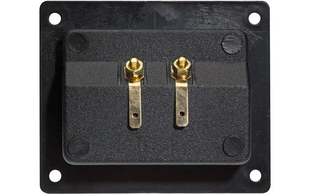 Conjunto de 2 bornes para altavoz - cuadrado - dorado