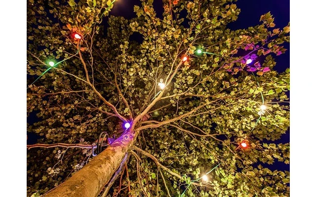 Cadena de luz festiva con 20 bombillas de colores LED