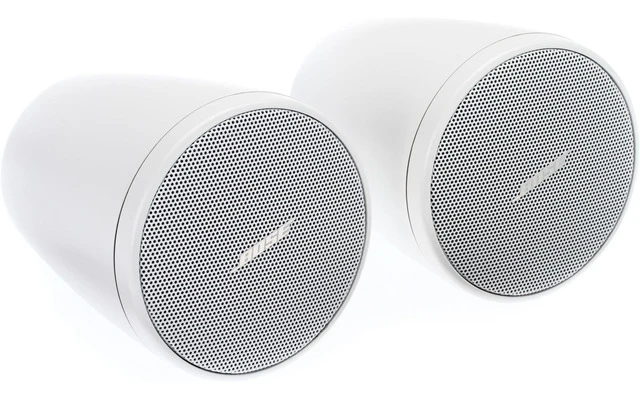 Bose Pro FreeSpace FS2P Blanco