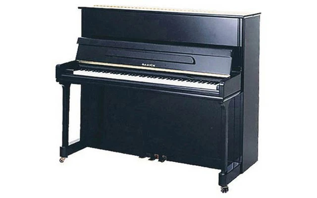 Samick JS-121D negro poliester