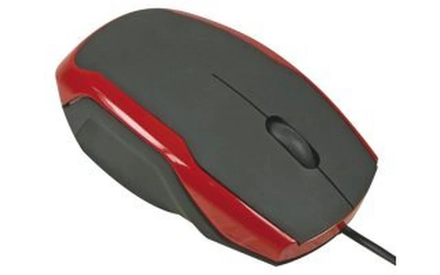 Raton optico