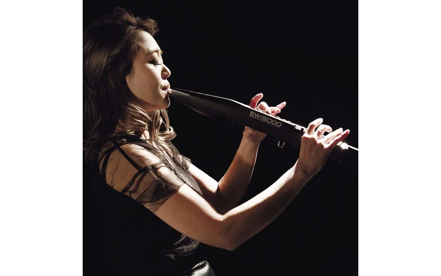 Akai EWI 5000