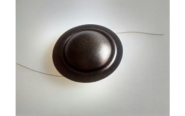 Membrana 1