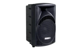 CAJA ACÚSTICA ABS PROFESIONAL DE 2 VÍAS 10"