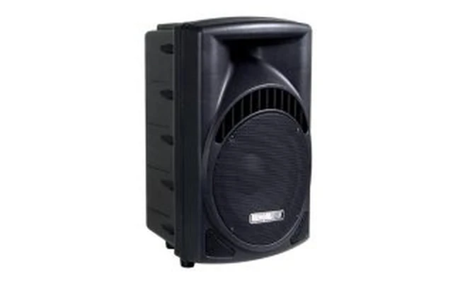 CAJA ACÚSTICA ABS PROFESIONAL DE 2 VÍAS 10"
