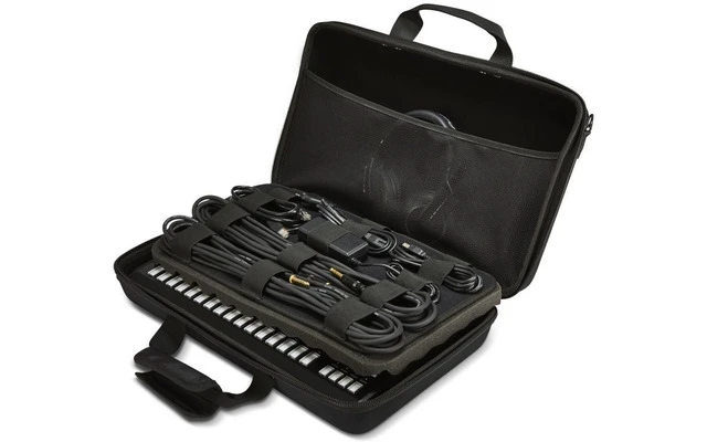 Pioneer DJ DJC-TSP16 Bag