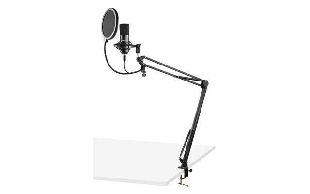Vonyx CMS300B 