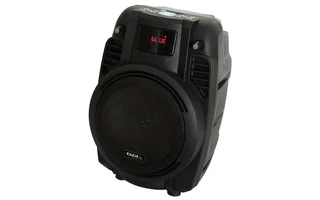Ibiza Power 6 - Batería recargable + USB & SD & MP3 & Bluetooth + Microfono
