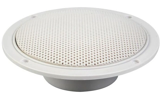 Juego de 2 altavoces conicos 5.5