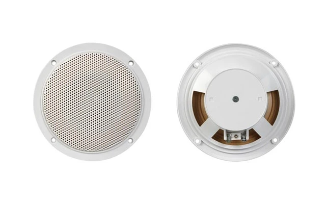 Juego de 2 altavoces conicos 5.5