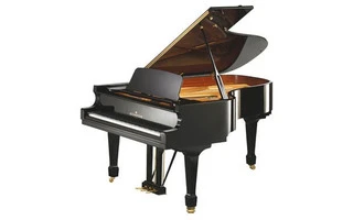 Bechstein B 208 3/4 Cola negro poliester