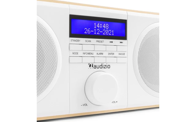 Audizio Novara