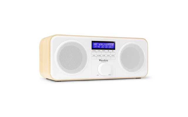 Audizio Novara