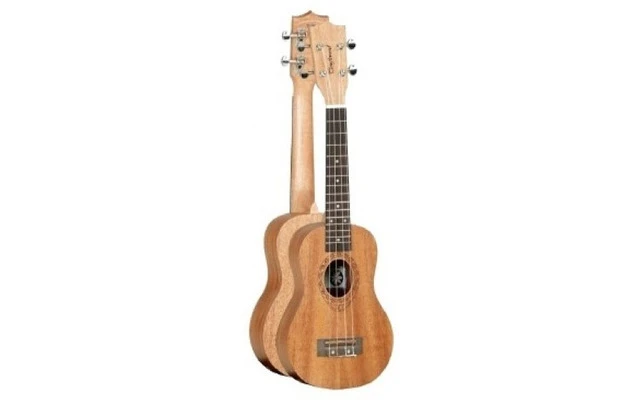 Tanglewood TWT1