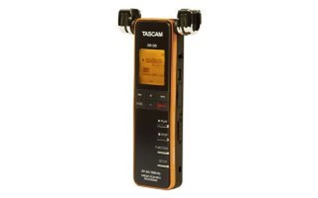 Tascam DR 08