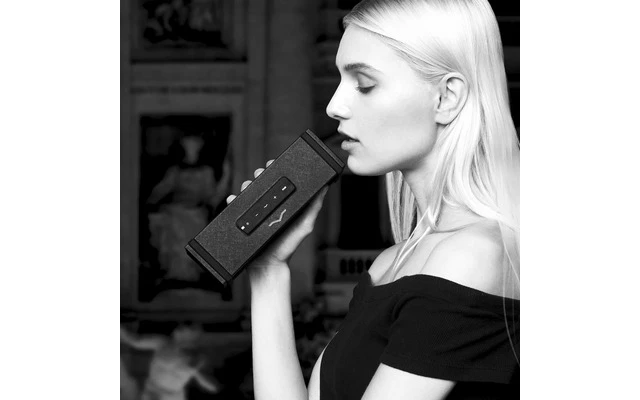 V-Moda Remix