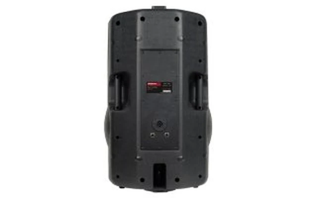 Akiyama PB 15 - 300 Watt RMS
