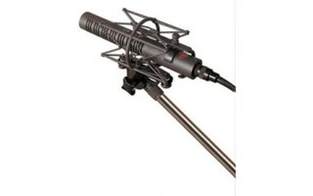 Neumann RSM 191