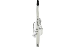 Roland Aerophone AE-10