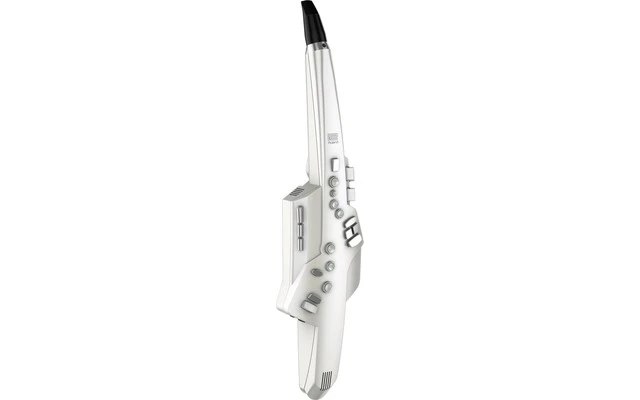 Roland Aerophone AE-10