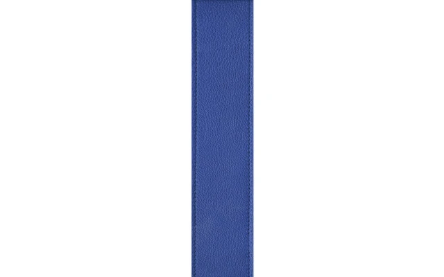Planet Waves Planet Lock Leather Blue