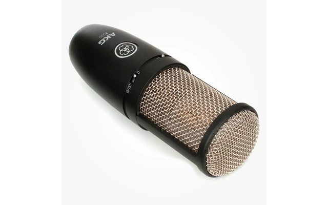 AKG P220