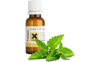 BeamZ Fragancia para líquido de humo de 5 litros, menta