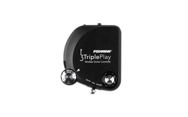 Fishman TriplePlay