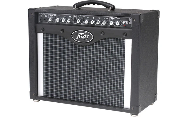 Peavey Envoy 110