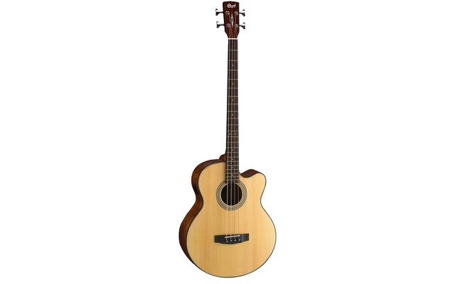 Cort Guitars SJB5F NS