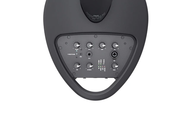 LD Systems MAUI 5 GO 100